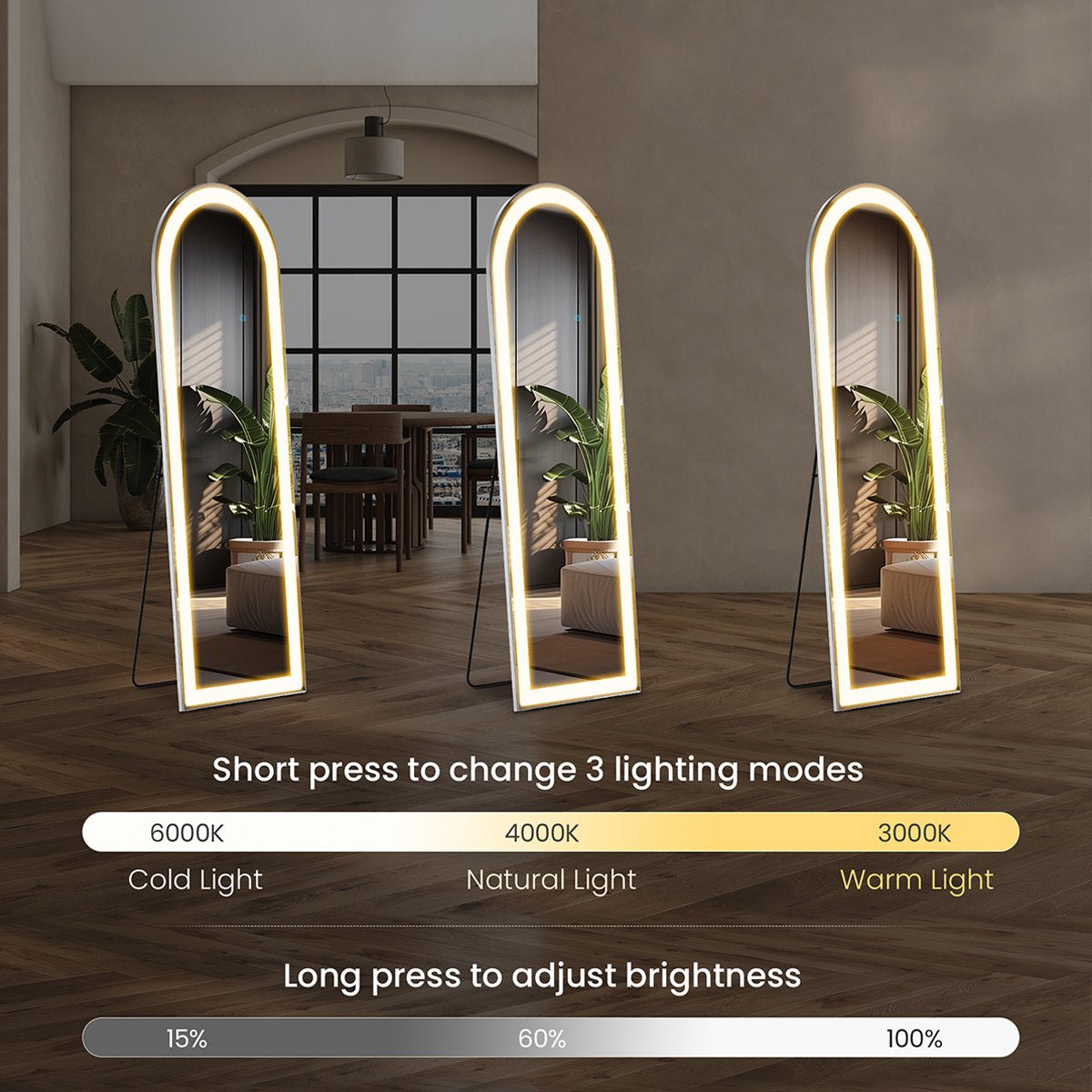 Dimmable LED Lights Full Body Floor Mirror with Stand, Wall Mounted Hanging