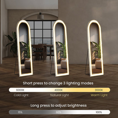 Dimmable LED Lights Full Body Floor Mirror with Stand, Wall Mounted Hanging