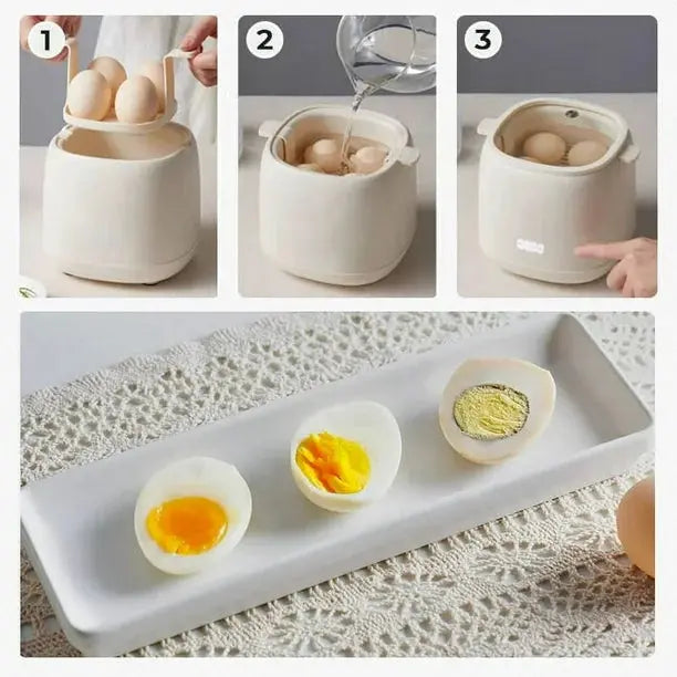 EggMaster Cooker with accessories, showing poaching tray, egg rack, and multi-function capability for various egg styles.