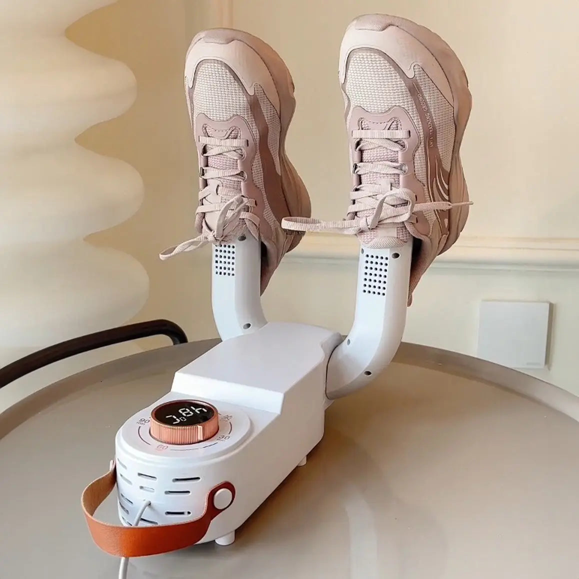 Electric Shoe Dryer