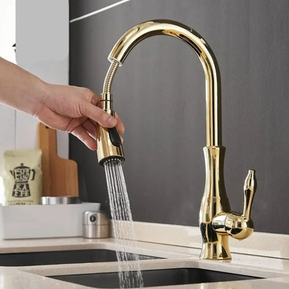 AquaFlex pull-out kitchen faucet with hose extended, ideal for washing large pots