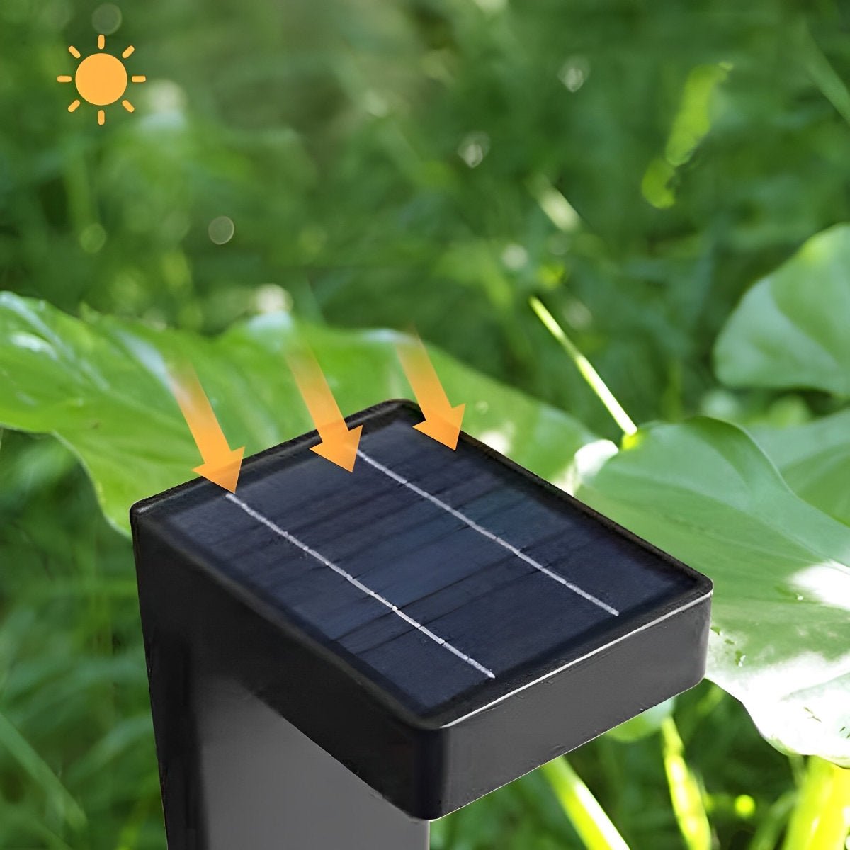 Waterproof Aluminum LED Black Modern Outdoor Pathway Walky Lawn Lights