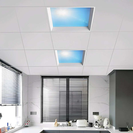 Modern Imitation Sky LED Light Dimmable Ceiling Light