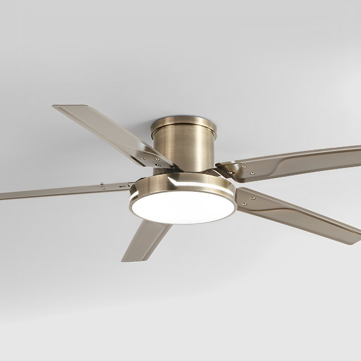 Modern Iron Five-leaf 6-speed Reverse Fan Dimming Ceiling Fan Light