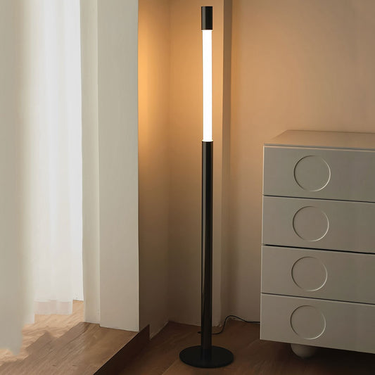 Modern Minimalist Liftable LED Floor Lamp