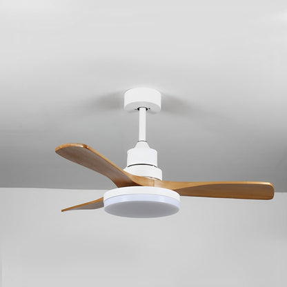 Vintage Reverse Variable Frequency Ceiling Fan Light