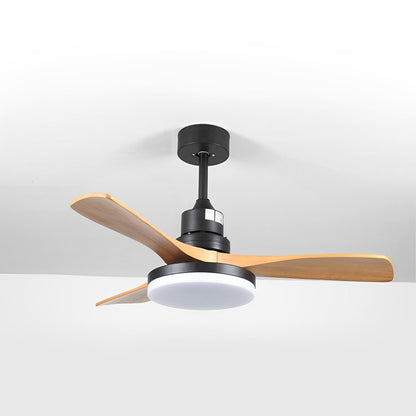 Vintage Reverse Variable Frequency Ceiling Fan Light